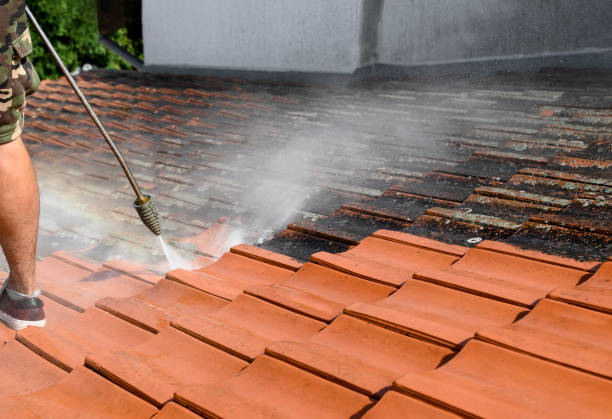 Best Pressure Washing Driveway  in Seacliff, CA